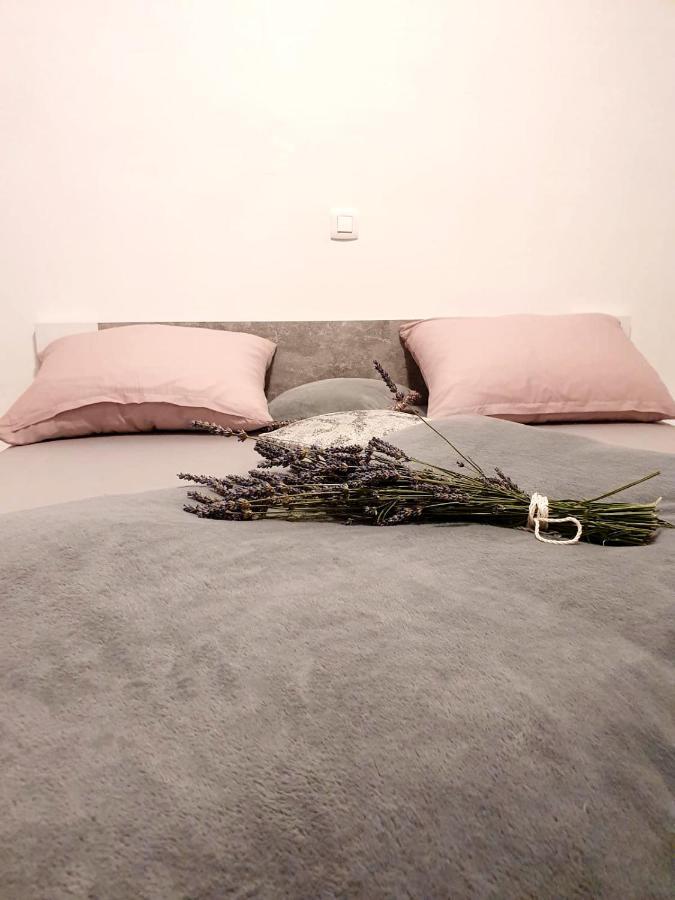 Apartman Skolj Jovici  Ngoại thất bức ảnh